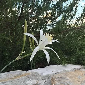 https://ca-di-bianca.hotelitalianriviera.com